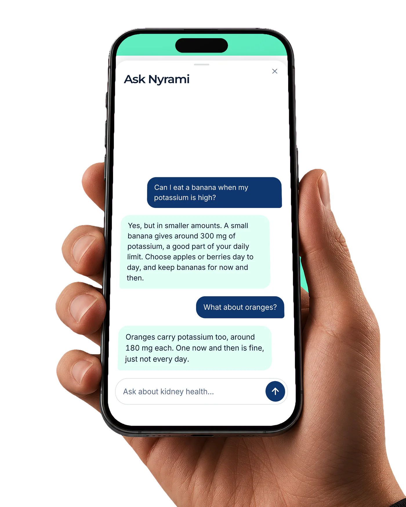 Ask Nyrami in the app answering whether a banana is fine when potassium is high
