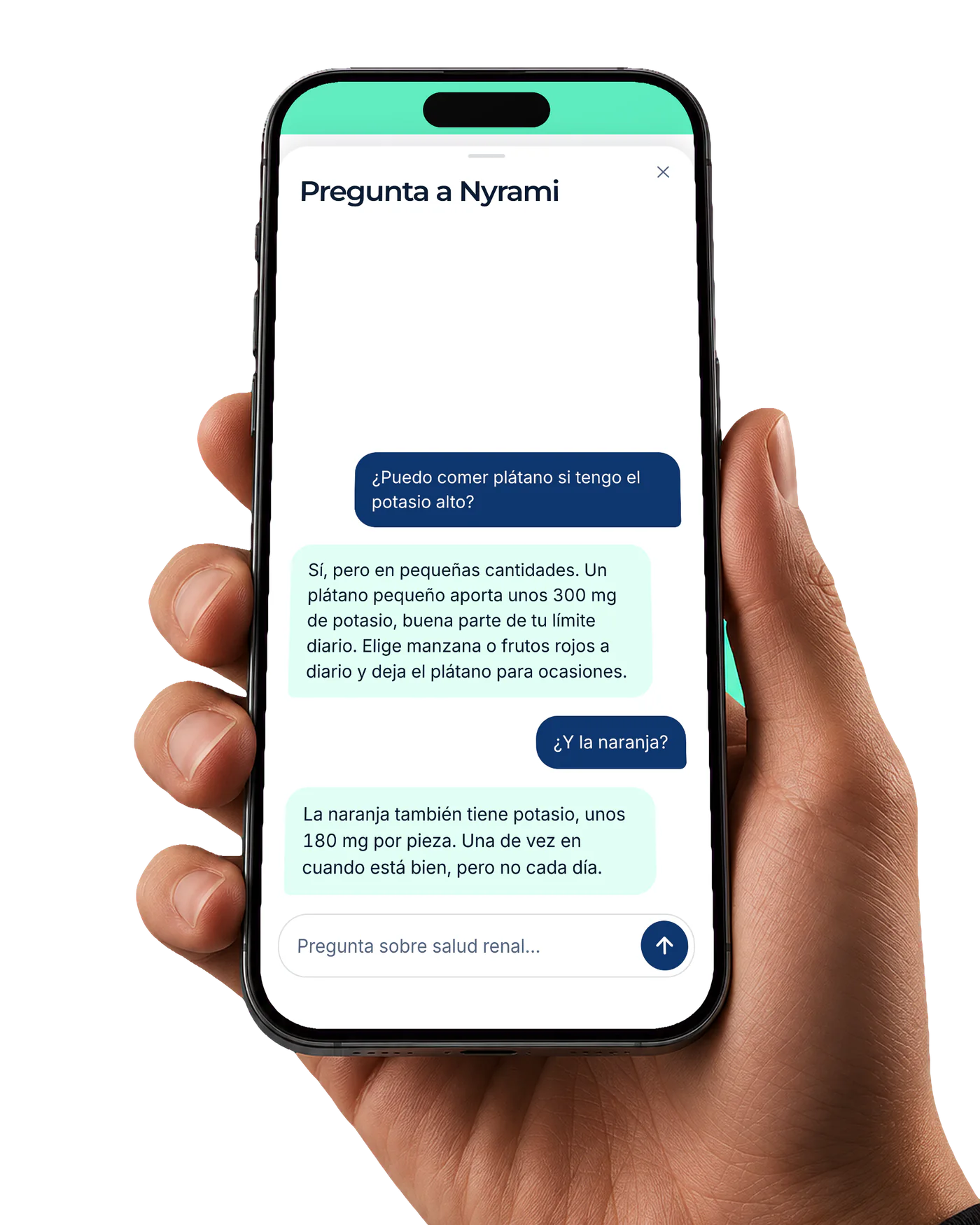 Pregunta a Nyrami en la app responde si se puede comer plátano con el potasio alto