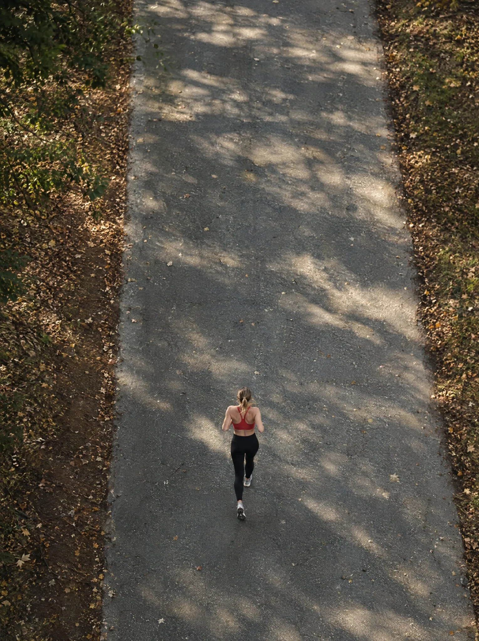 A runner on a paved path through the woods, seen from above